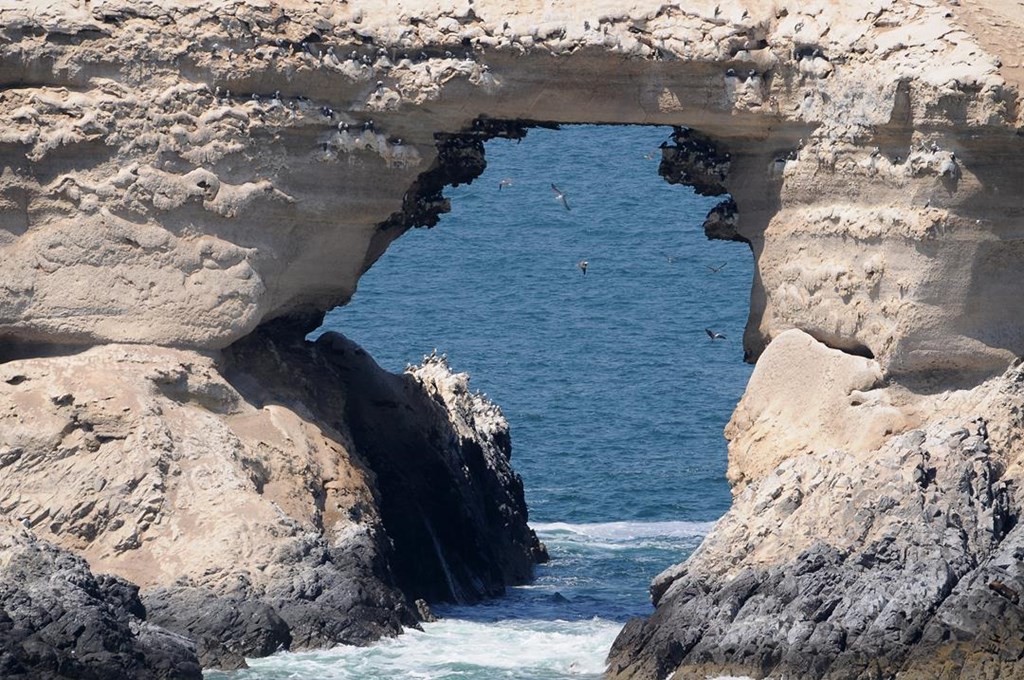 093   La Portada, Chile